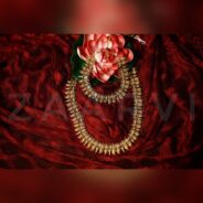 AMAR8214_SnapseedCopy