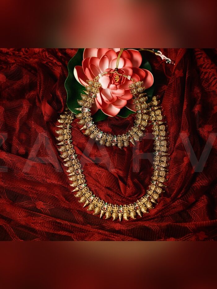 AMAR8214_SnapseedCopy AMAR8214_SnapseedCopy