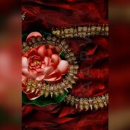 AMAR8218_SnapseedCopy