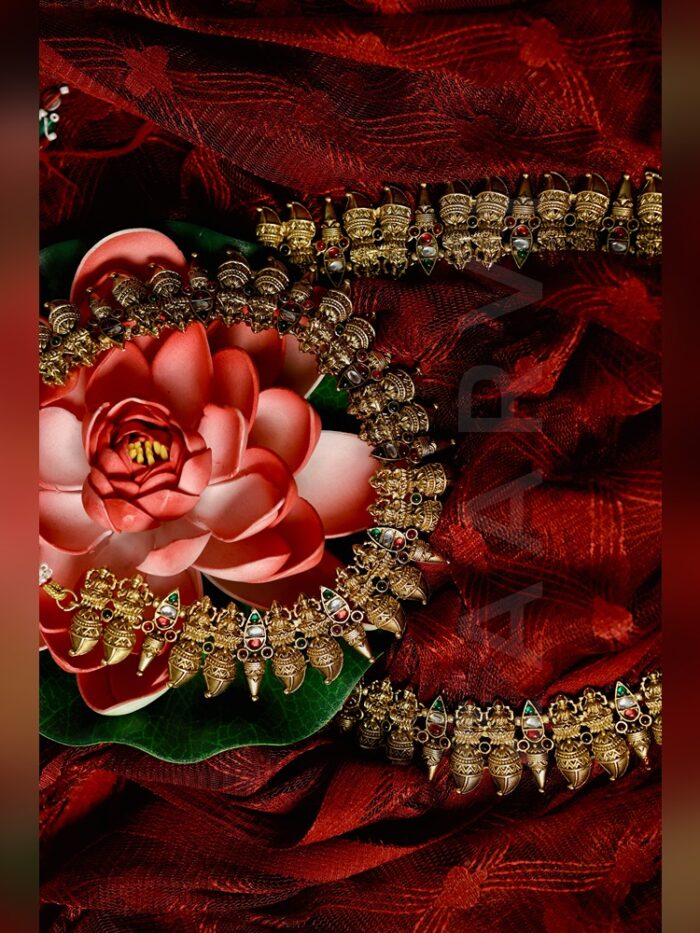 AMAR8218_SnapseedCopy AMAR8218_SnapseedCopy