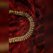 AMAR8219_SnapseedCopy