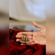 AMAR8220_SnapseedCopy