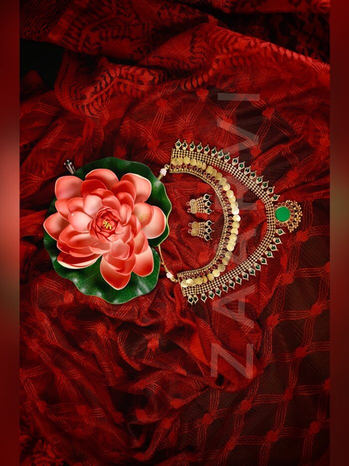 AMAR8236_SnapseedCopy AMAR8236_SnapseedCopy